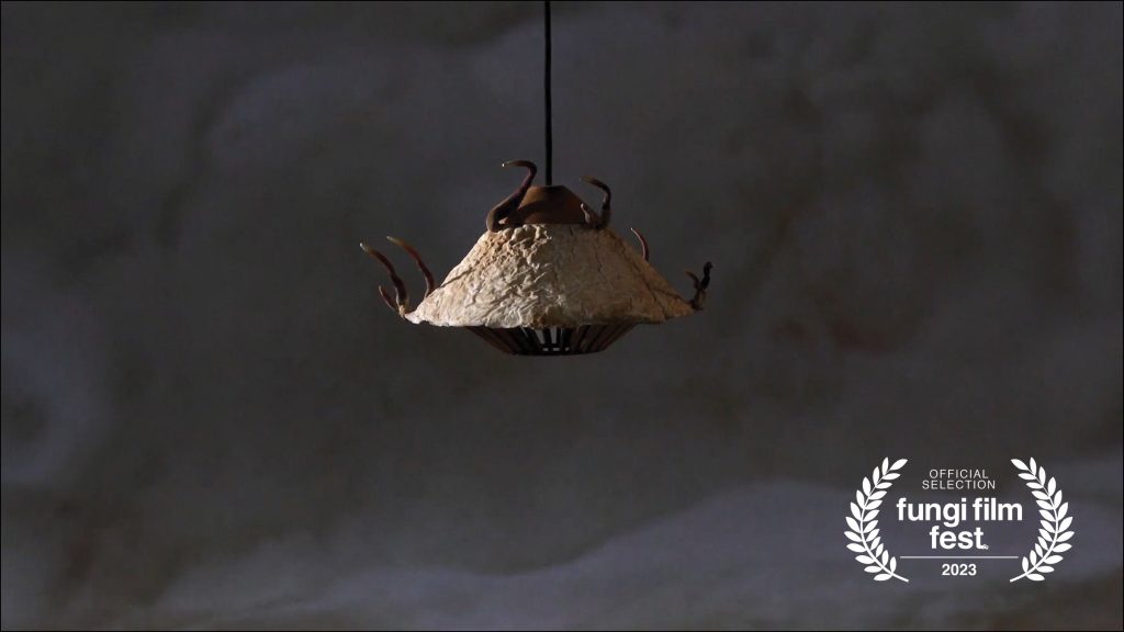 Mushrooms Galore at Fungi Film Festival 2023 • News